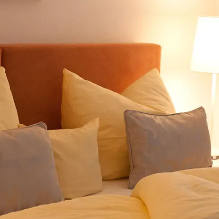 Zum Hirschen Hotel 3*