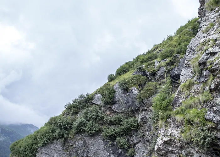 Hotel Zum Hirschen 3*